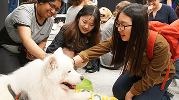 Pet Therapy event at FIT
