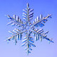 Snowflake