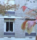 Co-ed Hall Co-ed Hall