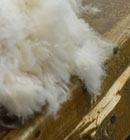 - TT476 Textile Project Development covers the entire supply chain of a woven product from fiber to retail. - TT476 Textile Project Development covers the entire supply chain of a woven product from fiber to retail.