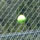 FIT Tennis Team