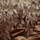 Schuyler Grant - Special Occasion Schuyler Grant - Special Occasion