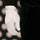 Marcus Cumberpatch - Menswear