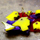 Maggie Fox - Precollege Programs