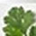 - Home Products Development - Home Products Development