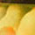 - Home Products Development - Home Products Development