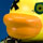Jennifer Tan - Toy Design Jennifer Tan - Toy Design