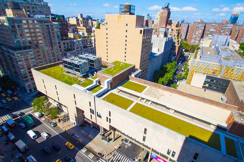 FIT green roofs