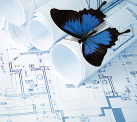 Butterfly and Blueprints