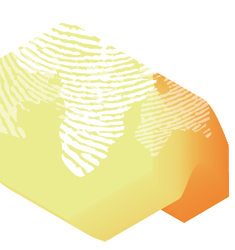 Expo 2011 icon