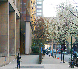campus