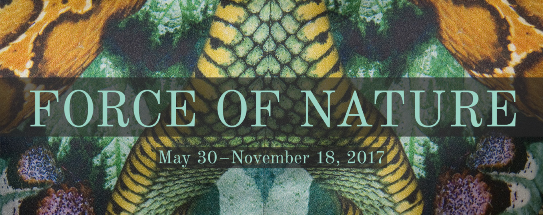 Force of Nature May 80 - November 18, 2017