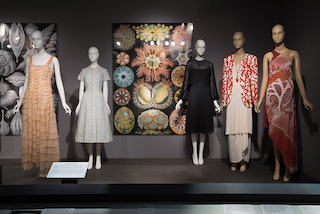 Installation view of Force of Nature featuring five dress objects and a large scale reprint of Ernst Haeckel Plate 85 in the background