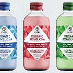 Fusu Organic Kombucha/Beverage - Brand and Packaging Design