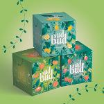 Sud Bud/Household Cleaning - Brand and Packaging Design