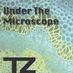 Under The Microscope