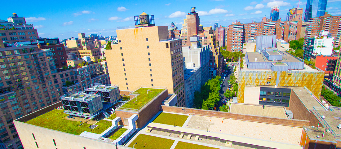 FIT's green roofs initiative for sustainability