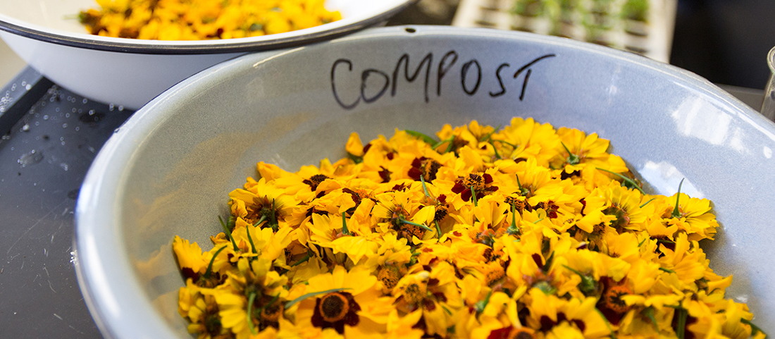 muslin composting at FIT for sustainability