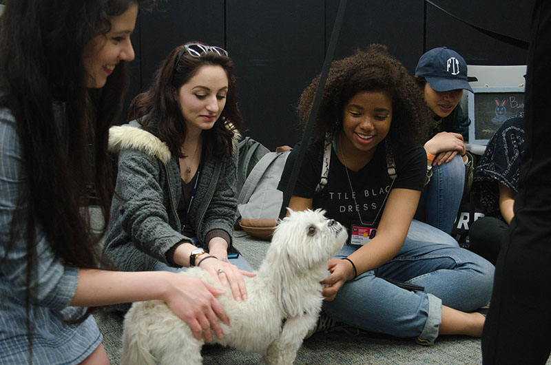 dog with students