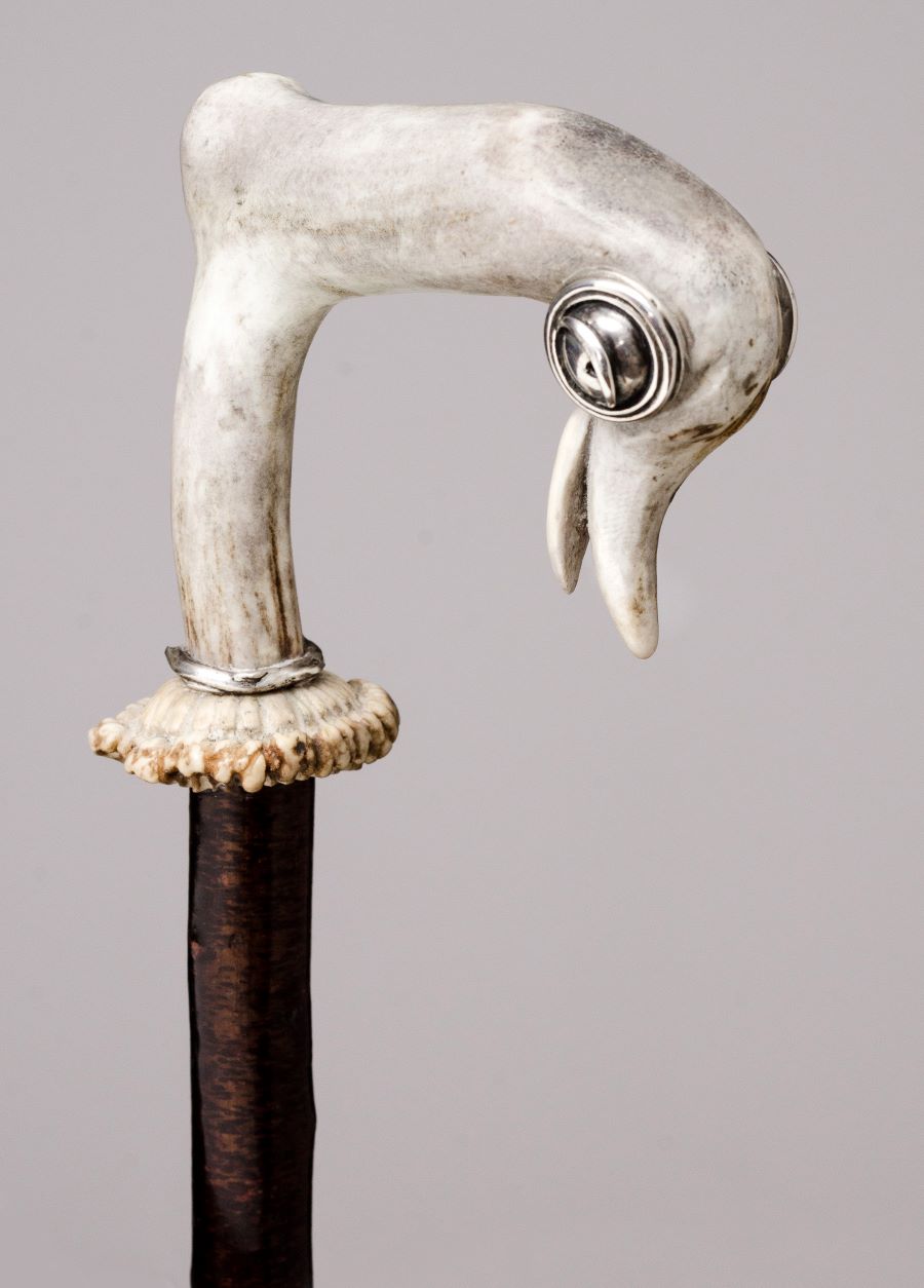 Hand-crafted walking cane features a sculpted handle made from deer antler; it is shaped like an abstract or stylized duck head with round silver accents for eyes and a decorative silver collar at the base. The cane shaft is dark wood, contrasting with the pale, textured handle.
