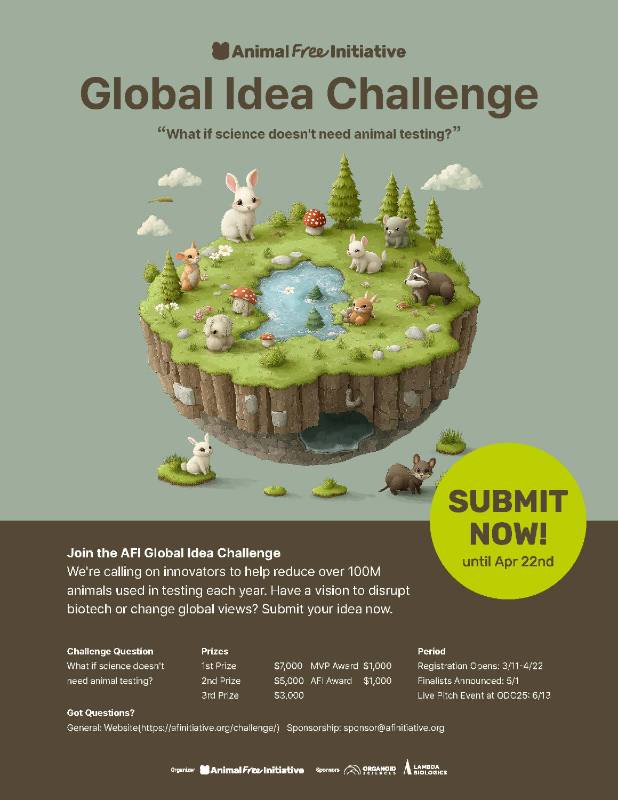 AFI Global Idea Challenge Poster