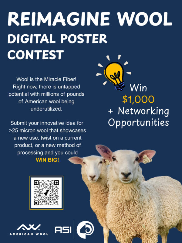 Reimagine Wool Digital Poster Contest Poster