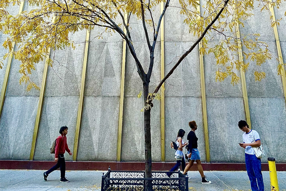 Students walking on campus with a tree with yellow leaves in the background