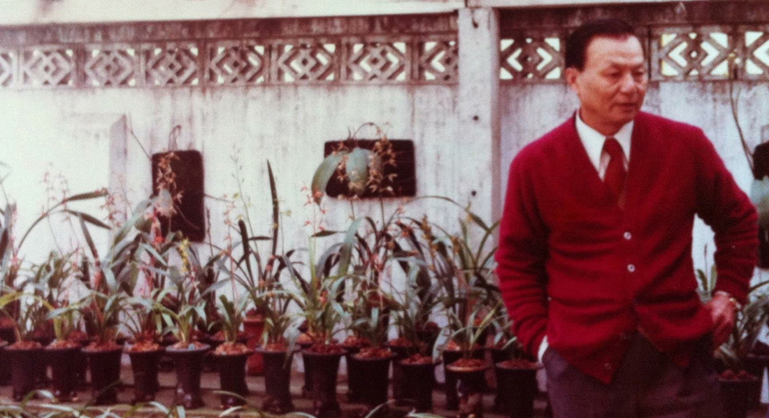 Alicai TSai's grandfather in his orchid garden