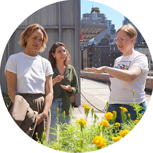 A group of three people on FIT's dye garden rooftop