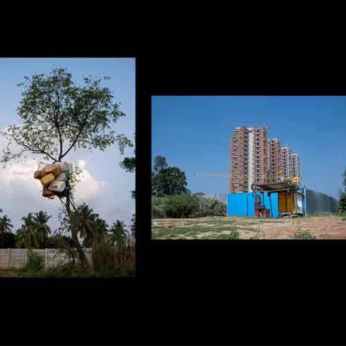 two images: one of a tree with plastic containers hanging from it's branches; image two is a building being constructed in the middle of nowwhere