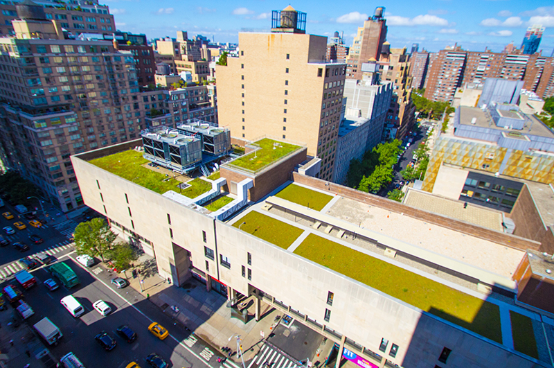 FIT green roofs 
