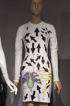 White long sleeved t-shirt dress with printed flower parts and arrows