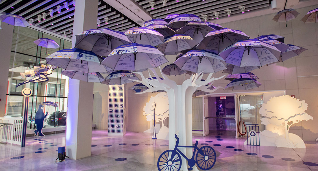 display of an umbrella tree