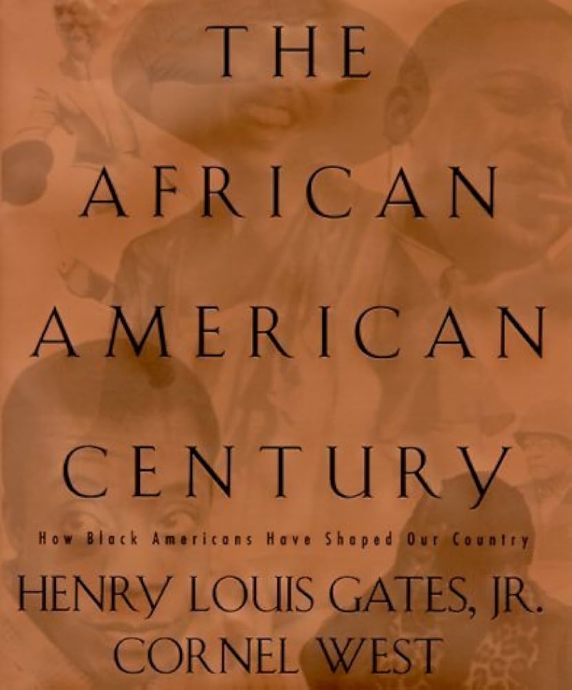 The African American Century book cover