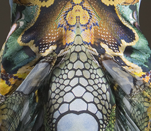 Detail of Alexander McQueen dress with reptile-like print